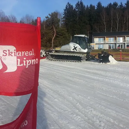 Mysi V Bote Lipno *