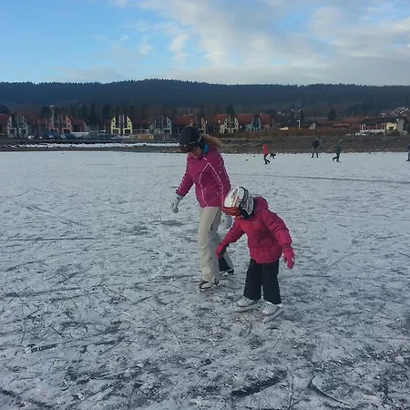 Mysi V Bote Lipno