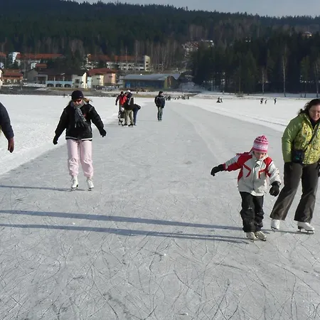 Mysi V Bote Lipno Apartment