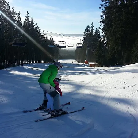 Mysi V Bote Lipno *