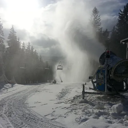 Mysi V Bote Lipno Appartement *