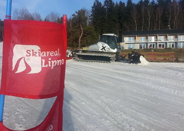 Mysi V Bote Lipno *