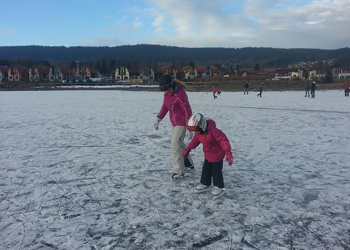 Mysi V Bote Lipno