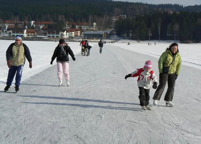 Mysi V Bote Lipno Apartment