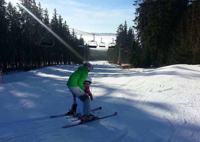 Mysi V Bote Lipno *